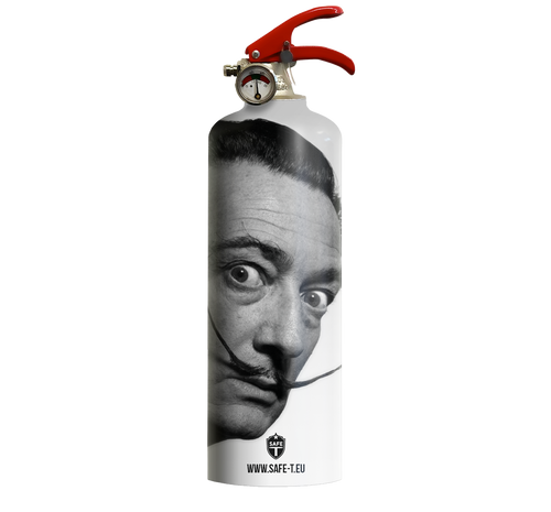 Feuerlöscher DALI
