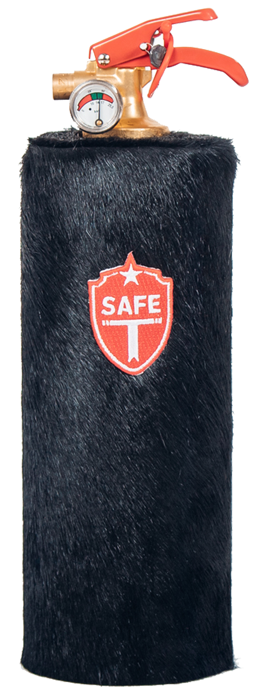 Feuerlöscher Black Panther