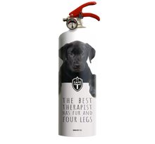 Charger l&#39;image dans la galerie, Extincteur DOGS