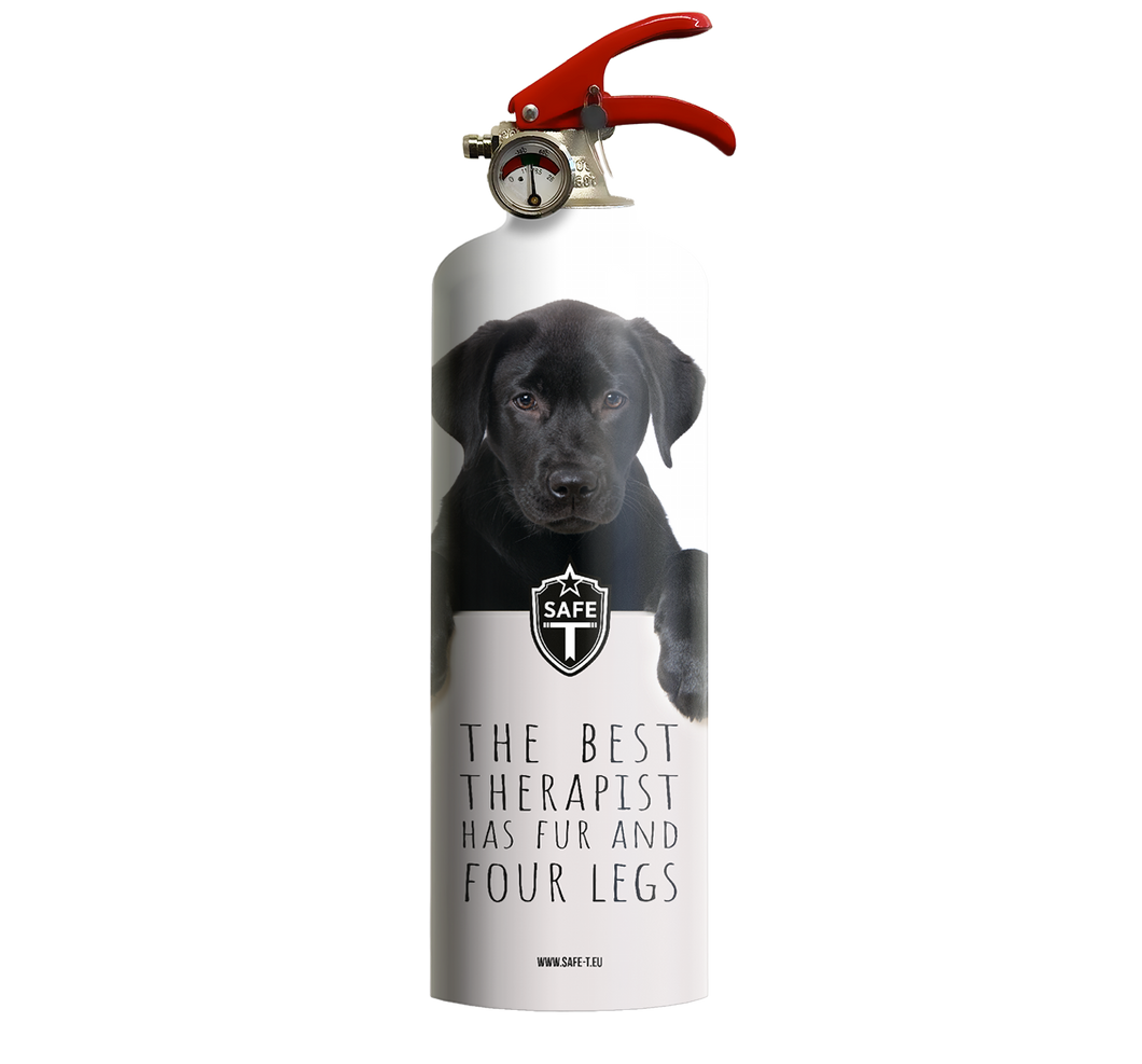 Extincteur DOGS
