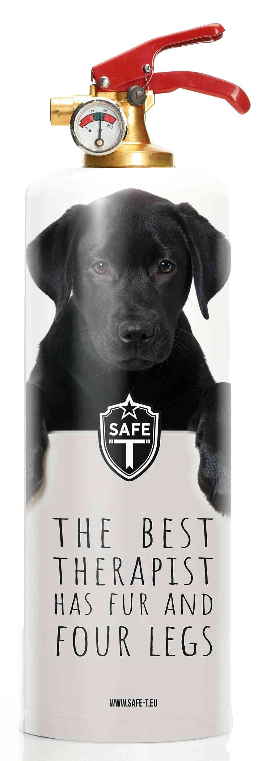 Extincteur DOGS